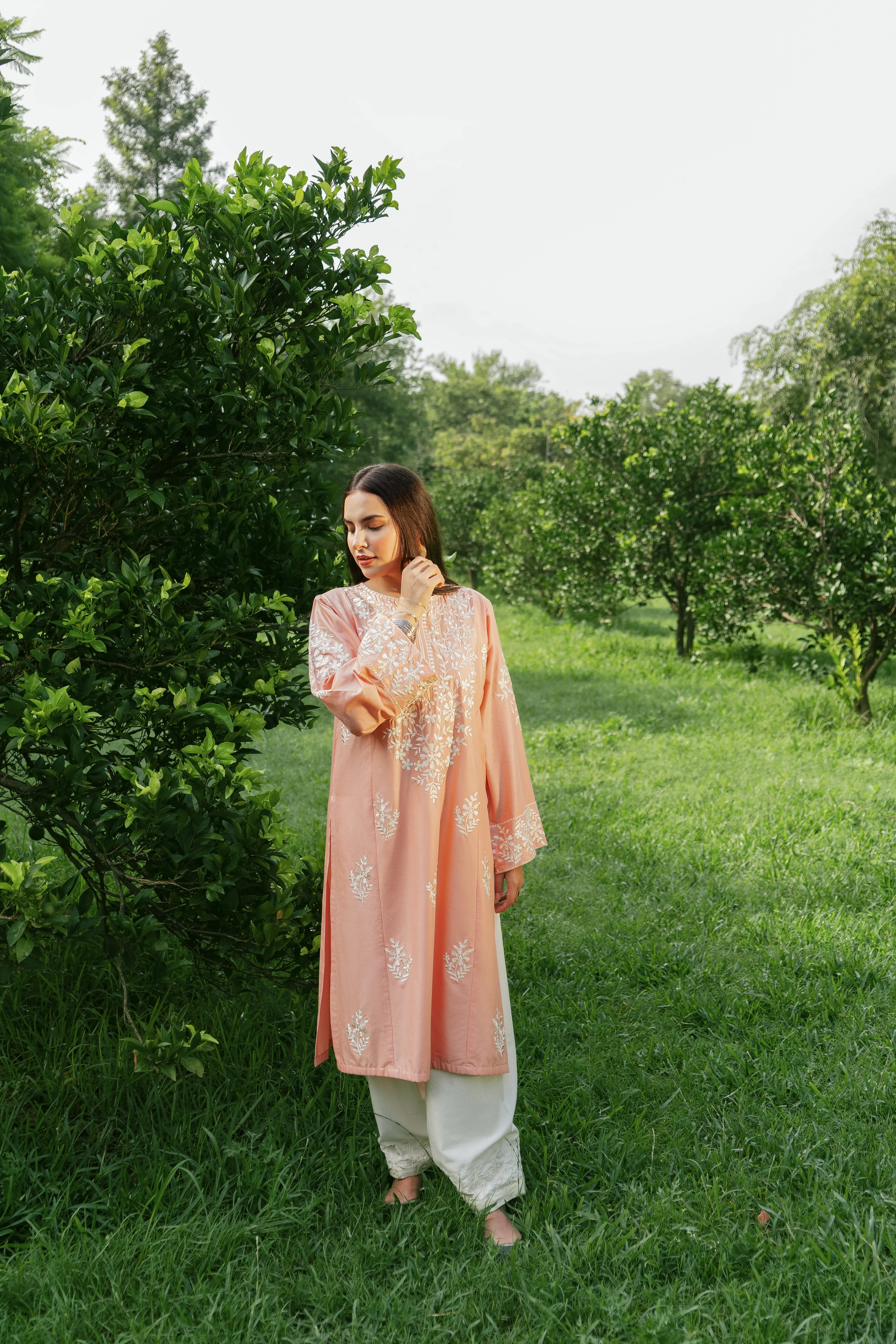 MOTIA - Image 4